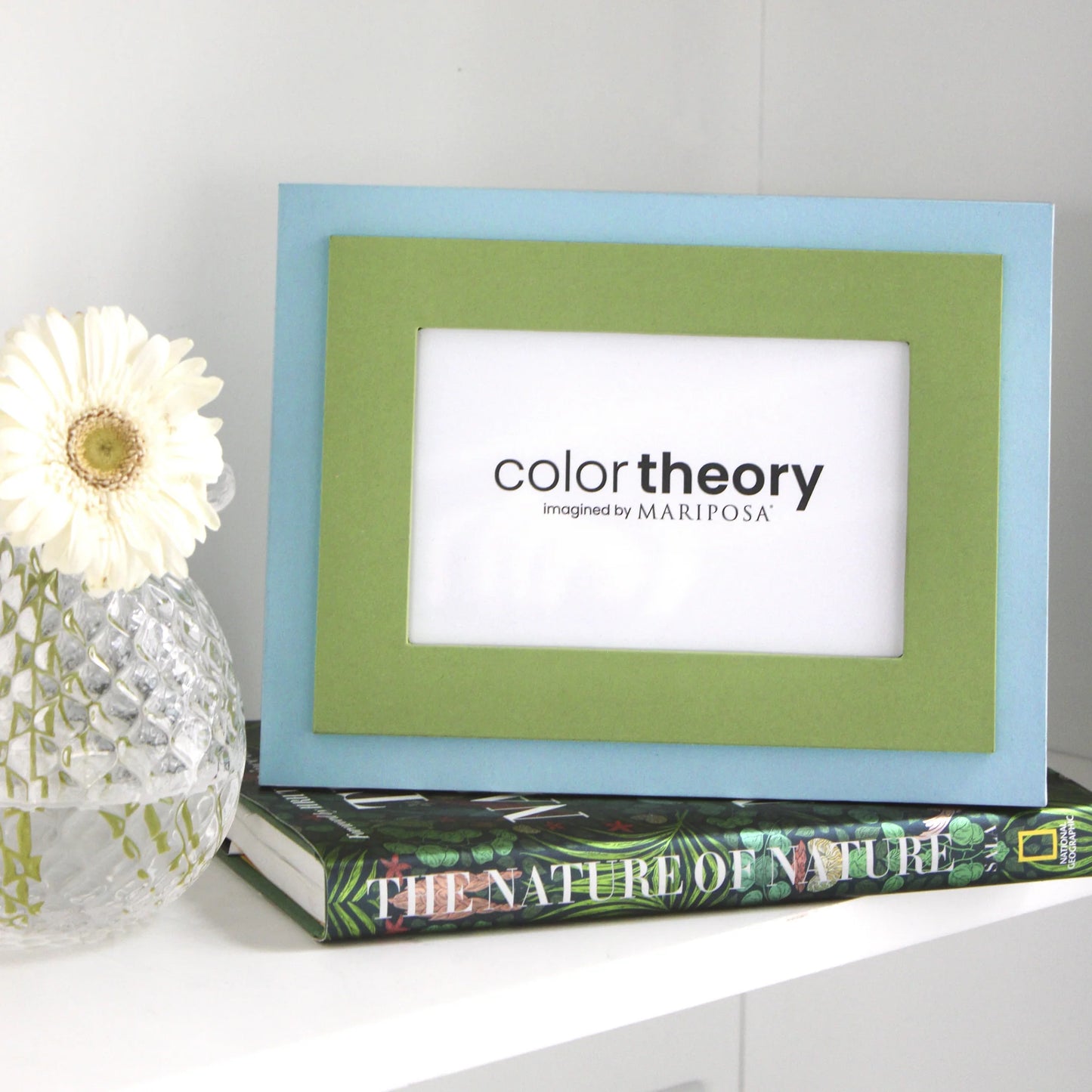 Mariposa Color Theory Meadow Green and Sky Blue 4x6 Frame