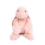 Mon Ami - Yertle Turtle - Coral