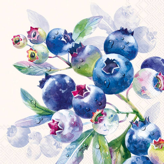Boston International - Paper Cocktail Napkins 20ct Blueberry Fruits Cream
