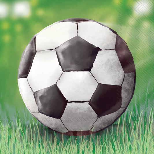 Boston international - Soccer Field Paper Cocktail Napkins 20 ct FIFA WORLD CUP